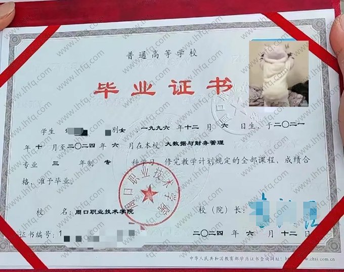 周口职业技术学院2024年普通全日制专科毕业证书样本图片（大数据与财务管理）