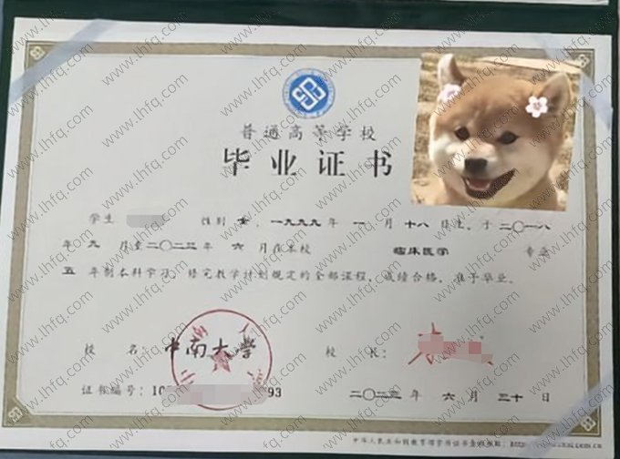 中南大学2023年普通全日制本科毕业证书样本图片（临床医学）