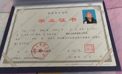 山东工业职业学院毕业证样本图片