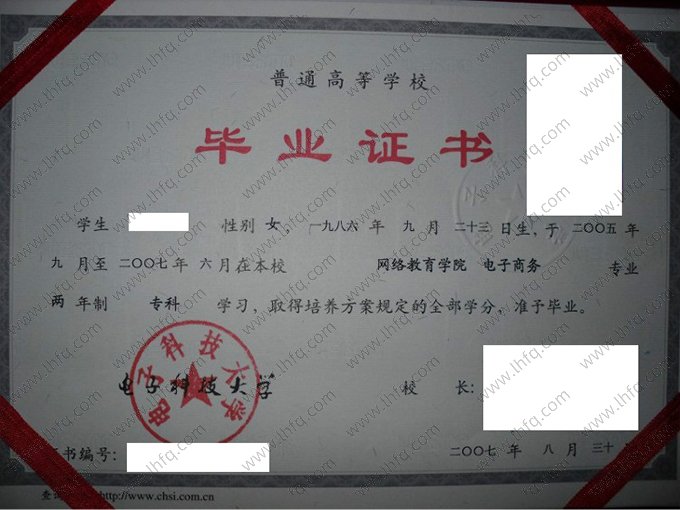 电子科技大学2007年网络教育专科毕业证书样本图片（电子商务）