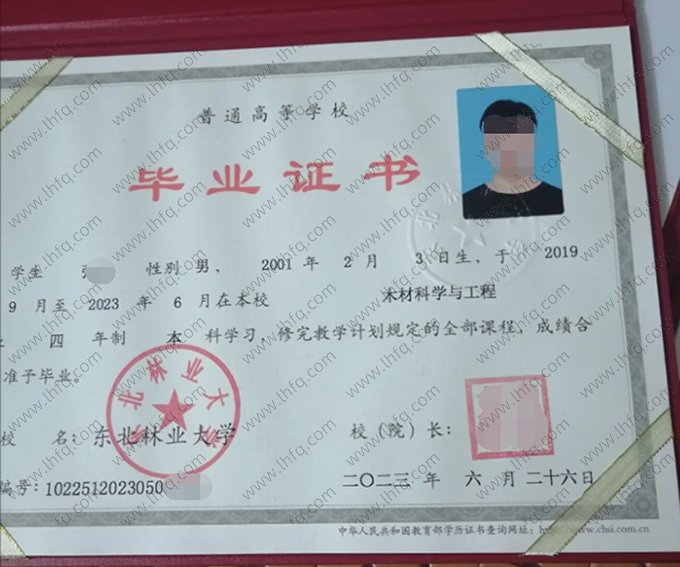 东北林业大学2023年普通全日制本科毕业证书样本图片（木材科学与工程）