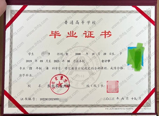 东北农业大学2023年普通全日制本科毕业证书样本图片（会计学）