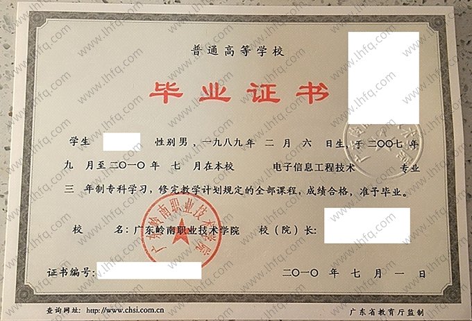广东岭南职业技术学院2010年普通全日制专科毕业证书样本图片（电子信息工程技术）