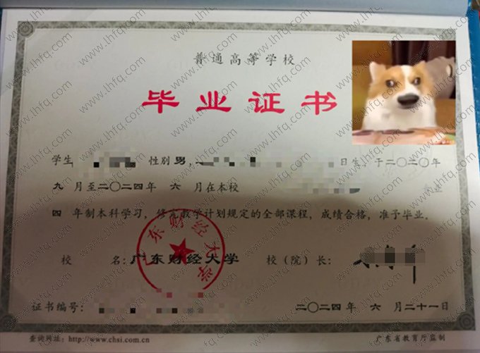 广东财经大学2024年普通全日制本科毕业证书样本图片（商务英语）