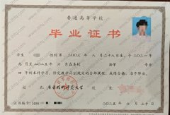 广东技术师范大学毕业证样本图片