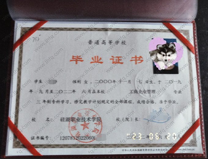 硅湖职业技术学院2023年普通全日制专科毕业证书样本图片（工商企业管理）
