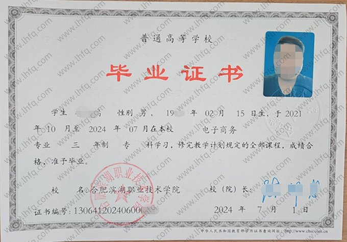 合肥滨湖职业技术学院2024年普通全日制专科毕业证书样本图片（电子商务）