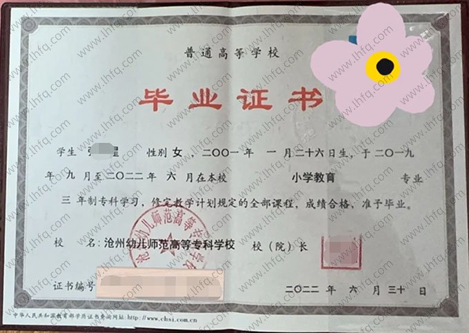 沧州幼儿师范高等专科学校2022年普通全日制专科毕业证书样本图片（小学教育）
