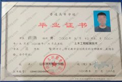 山东水利职业学院毕业证样本图片
