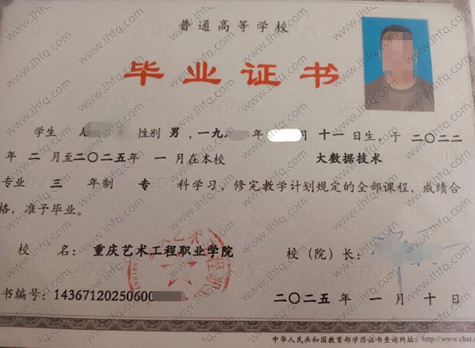 重庆艺术工程职业学院2025年普通全日制专科毕业证书样本图片（大数据技术）