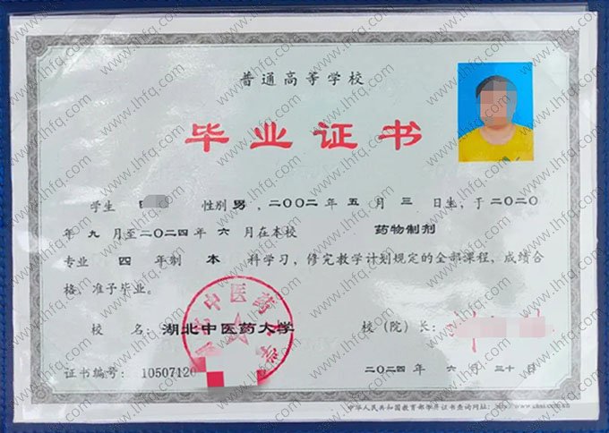 湖北中医药大学2024年普通全日制本科毕业证书样本图片（药物制剂）