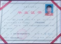 苏州工业园区服务外包职业学院毕业证样本图片