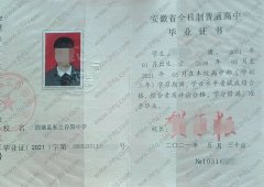 固镇县私立谷阳中学高中毕业证样本图片