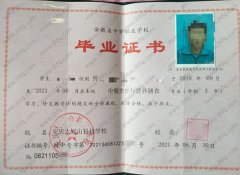 安庆大别山科技学校中专毕业证样本图片