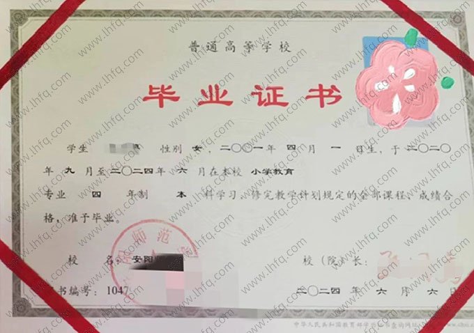 安阳师范学院2024年普通全日制本科毕业证书样本图片（小学教育）