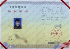 上海体育大学毕业证样本图片