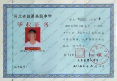 大名县第一中学高中毕业证样本图片