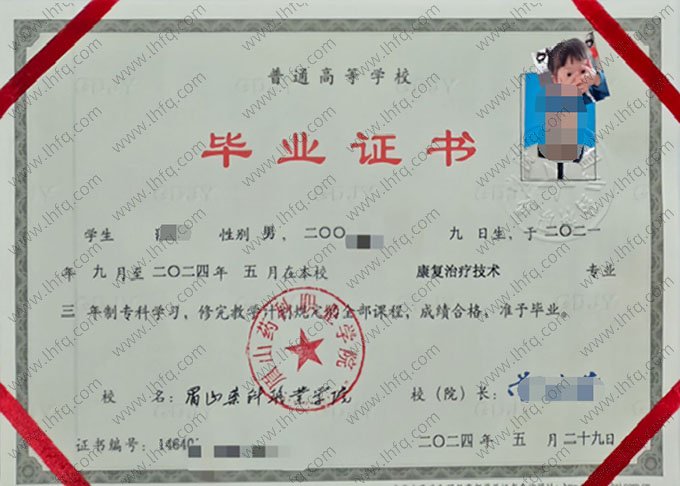 眉山药科职业学院2024年普通全日制专科毕业证书样本图片（康复治疗技术）