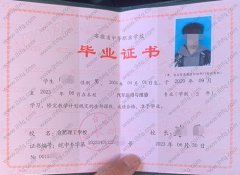 合肥理工学校中专毕业证样本