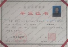 西安医学院毕业证样本图片