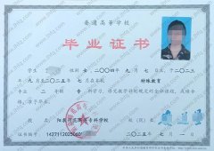 阳泉师范高等专科学校毕业证样本图片