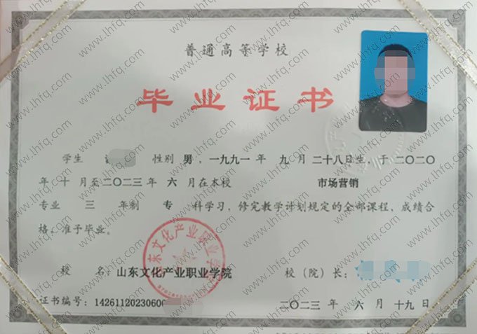 山东文化产业职业学院2003年普通全日制专科毕业证书样本图片（市场营销）