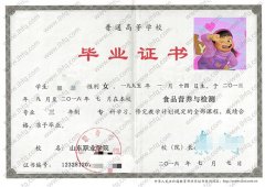 山东职业学院毕业证样本图片