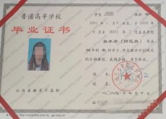 云南艺术学院文华学院毕业证样本图片