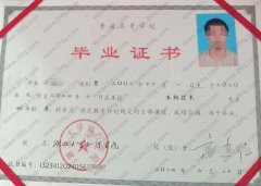 湖北大学知行学院毕业证样本图片