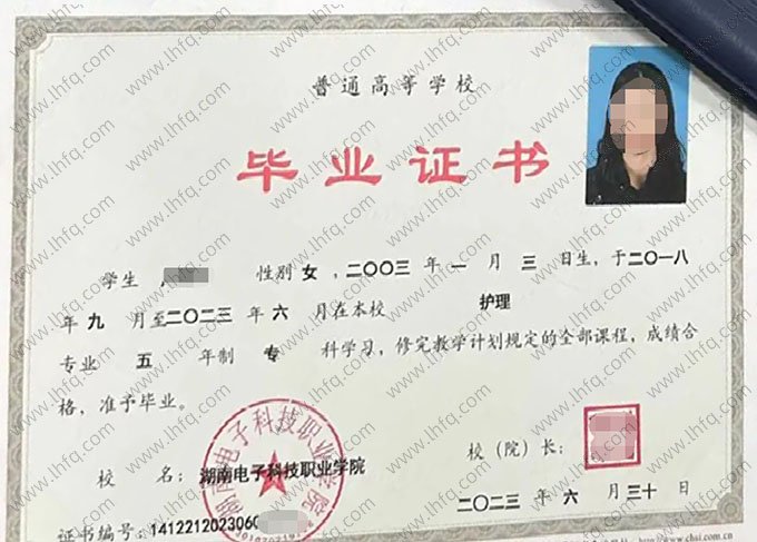 湖南电子科技职业学院2023年普通全日制专科毕业证书样本图片（护理）