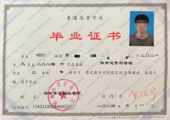 湖南体育职业学院毕业证样本图片