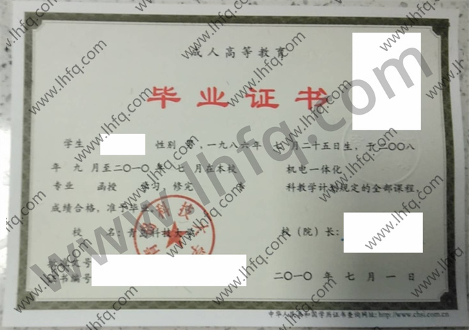 青岛科技大学2010年成人高等教育函授专科毕业证样式（机电一体化）
