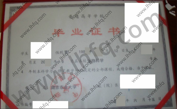 南京农业大学2005年统招本科毕业证样板（生物科学）