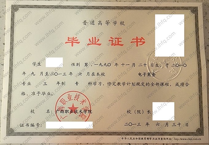 广西职业技术学院2013年普通全日制专科毕业证书样本图片（电子商务）