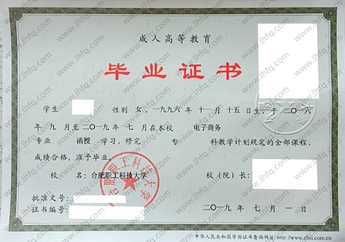 合肥职工科技大学2019年函授专科毕业证书样本图片（电子商务）