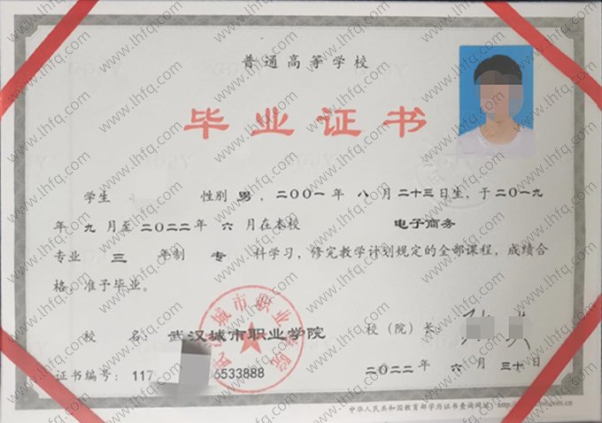武汉城市职业学院2022年普通全日制专科毕业证书样本图片（电子商务）