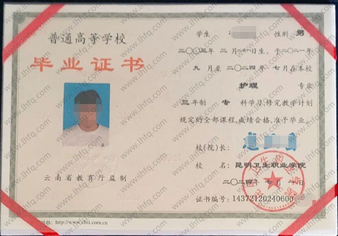 昆明卫生职业学院2024年普通全日制专科毕业证书样本图片（护理）