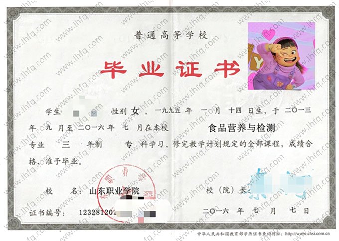 山东职业学院毕业证样本图片