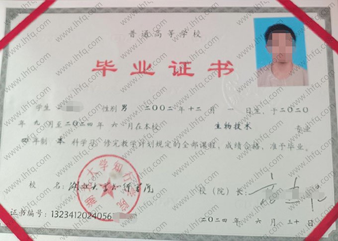 湖北大学知行学院毕业证样本图片