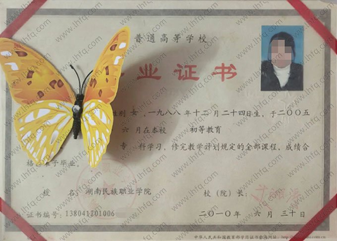 湖南民族职业学院2010年普通全日制专科毕业证书样本图片（初等教育）