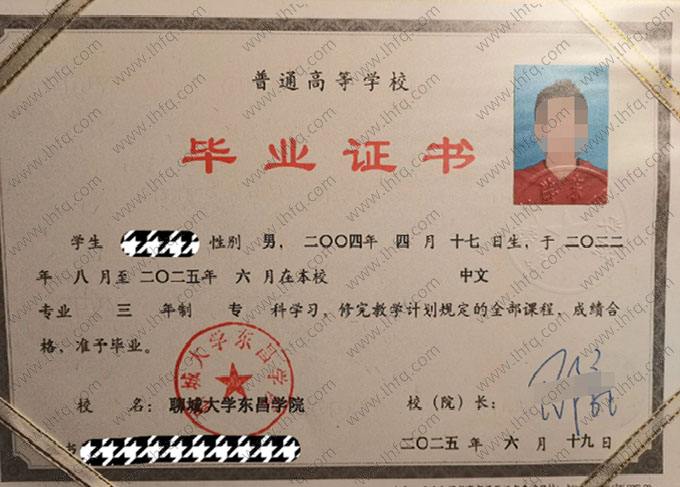 聊城大学东昌学院毕业证样本图片