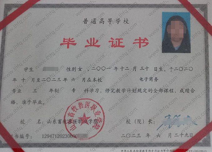 山东畜牧兽医职业学院2023年普通全日制专科毕业证书样本图片（电子商务）