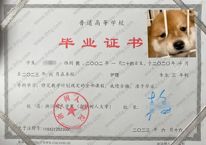 浙江树人学院2023年普通全日制专科毕业证书样本图片（护理）