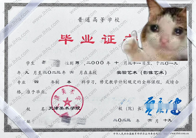 天津美术学院毕业证样本图片