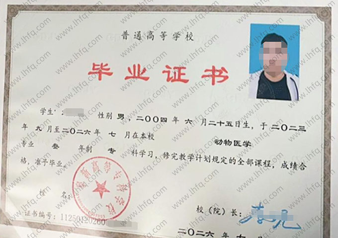 阜新高等专科学校毕业证样本图片