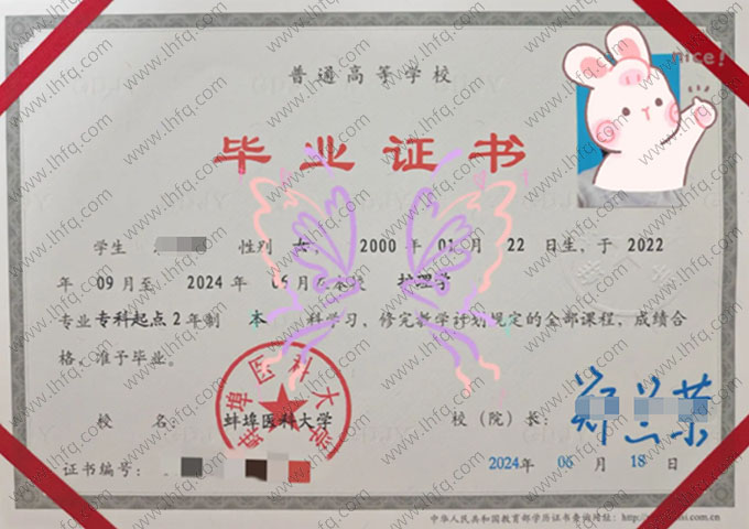 蚌埠医科大学2024年普通全日制专科起点本科毕业证书样本图片（护理学）
