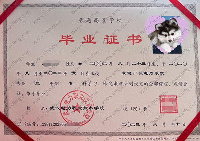 武汉电力职业技术学院毕业证样本图片