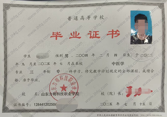 山东力明科技职业学院毕业证样本图片