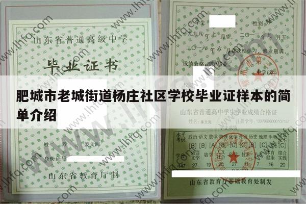 肥城市老城街道杨庄社区学校毕业证样本的简单介绍