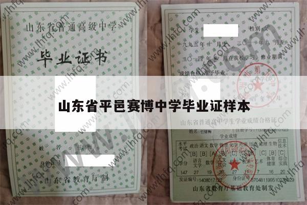 山东省平邑赛博中学毕业证样本